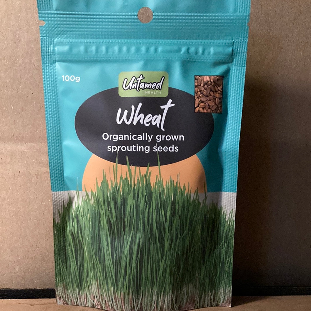Untamed Health Wheat Sprouting Seeds Organically Grown 100g