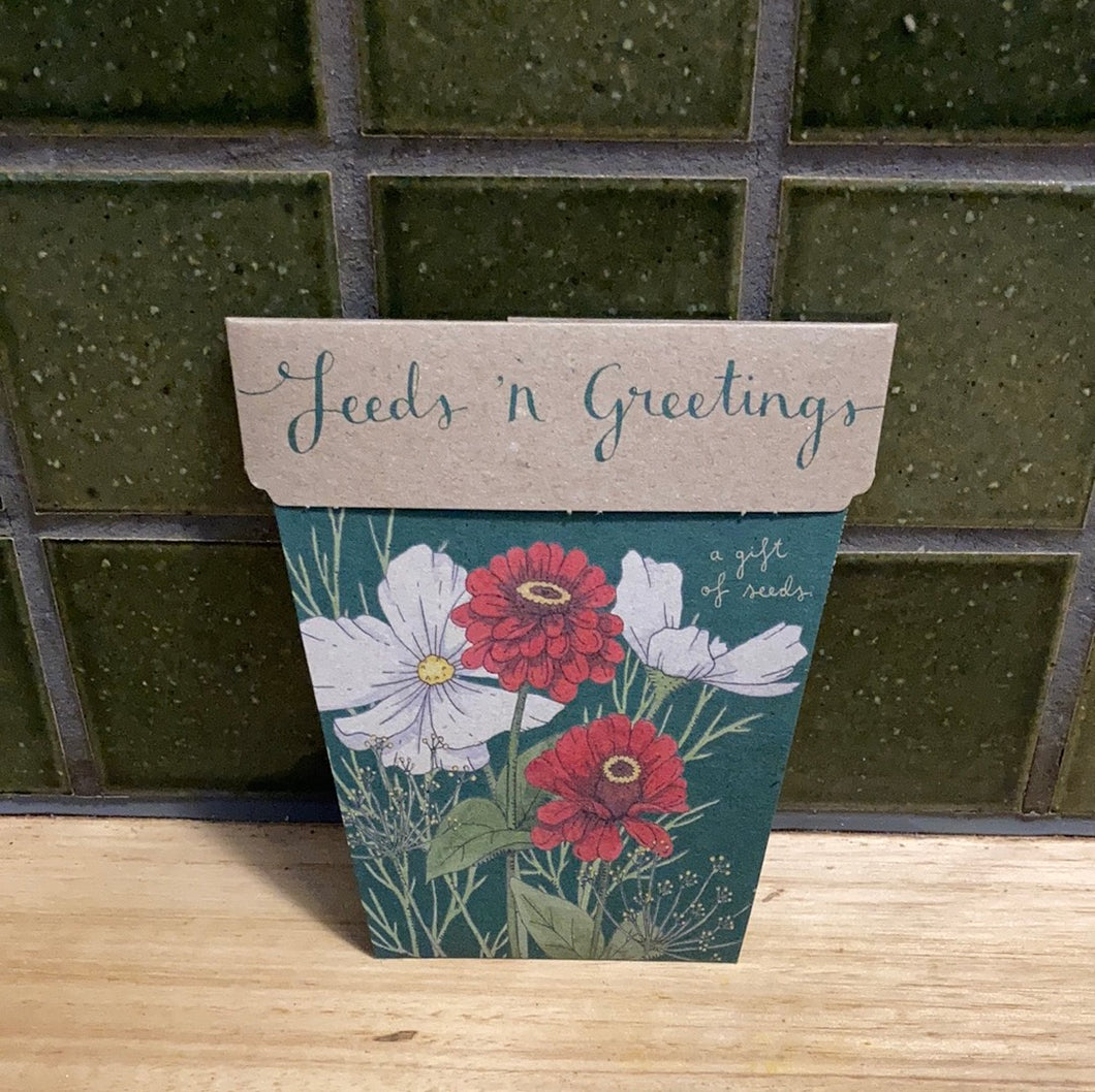 Sow N Seed Gift of Seeds Seeds n Greetings
