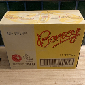Bonsoy Soy Milk Slab 6x1L